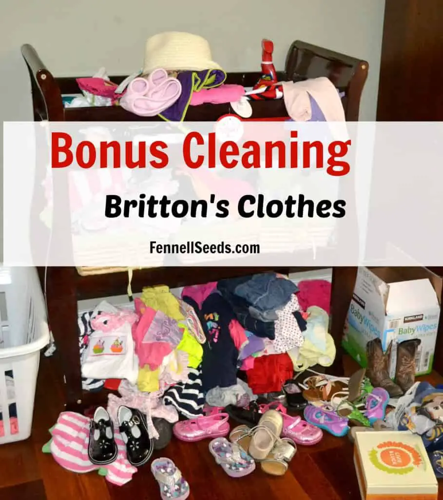 Bonus Cleaning - Daughter's Clothes