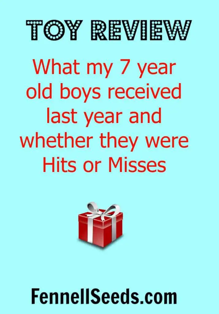 Toy Review - 7 year old Hits and Misses. What to buy 7 year old boys. These are the hits and misses of what my boys received last year.