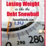 How Losing Weight is like the Debt Snowball