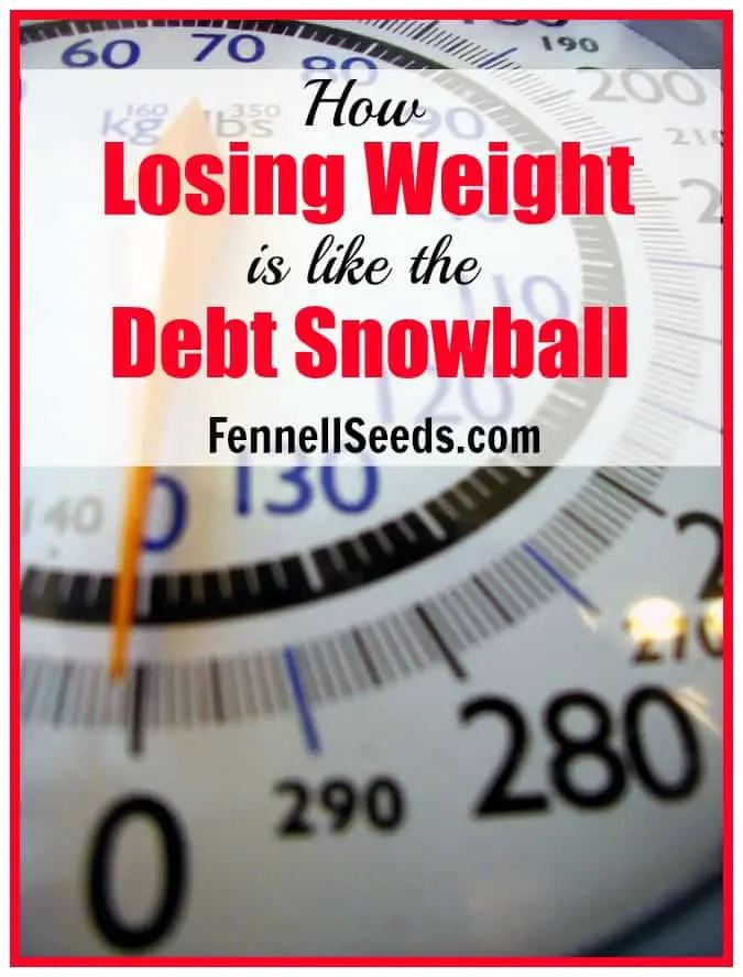 How Losing Weight is like the Debt Snowball