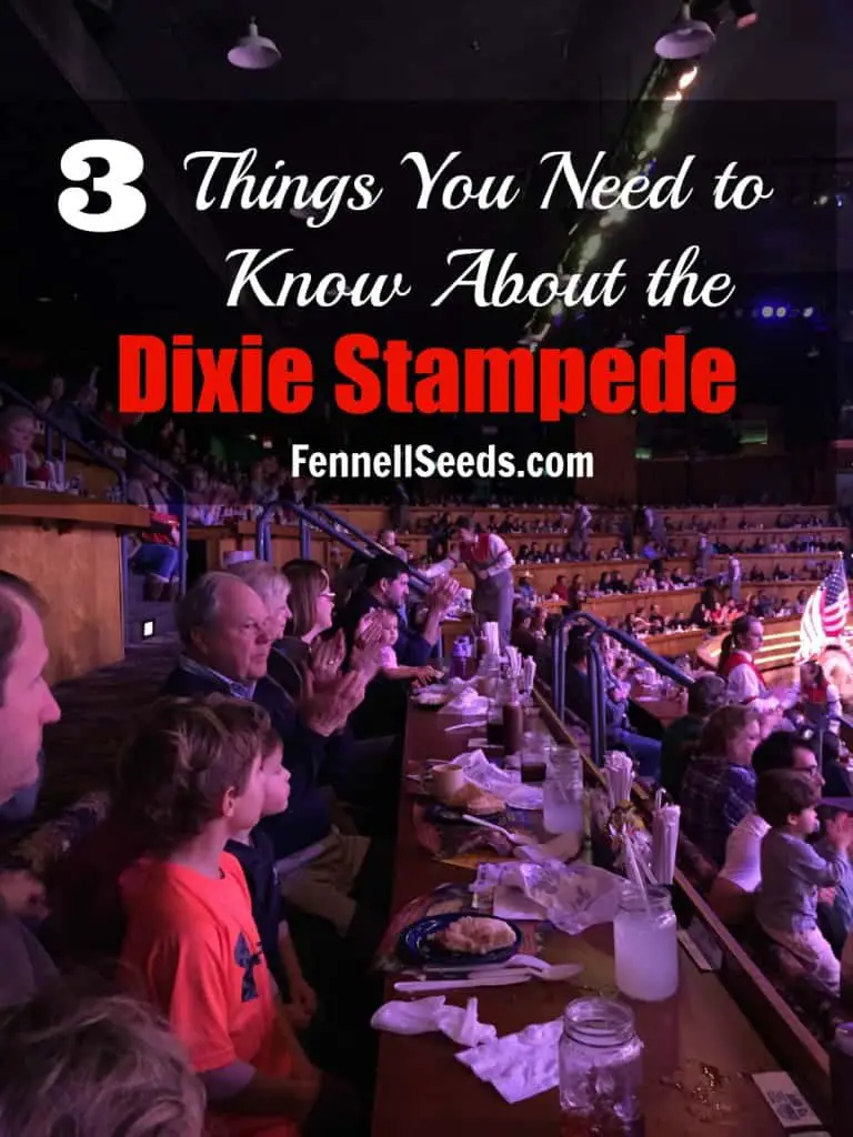 3 Things You Need to Know About the Dixie Stampede