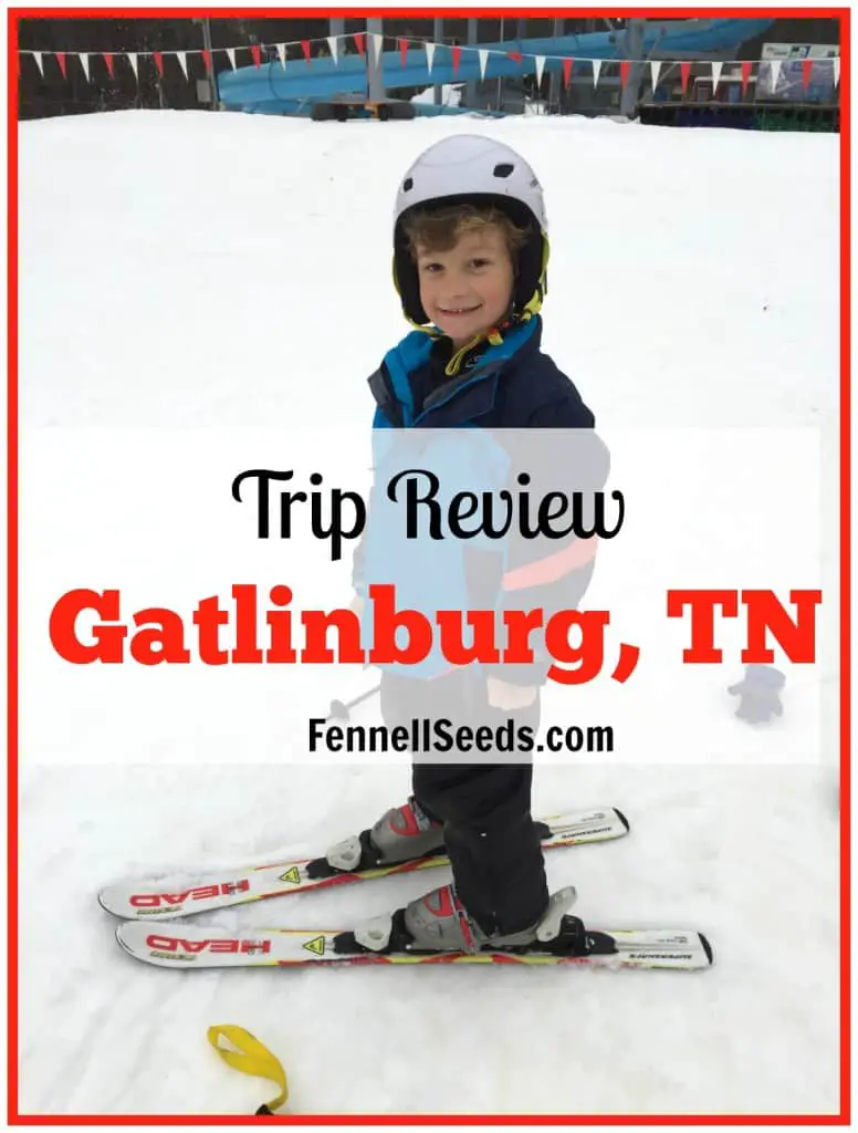 Trip Review Gatlinburg, TN