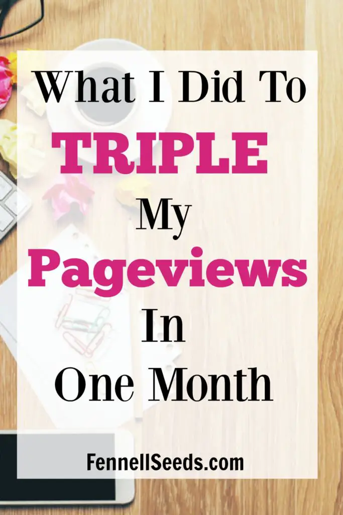 In 1 Month I tripled my page views. Here are resources I used and steps I took to grow. I want to share my small tips that helped my pageviews finally take a big leap.