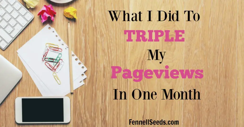 In 1 Month I tripled my page views. Here are resources I used and steps I took to grow. I want to share my small tips that helped my pageviews finally take a big leap. 