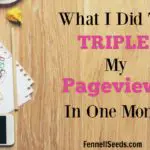 What I Did to Triple My Pageviews in One Month