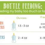Bottle Feeding: Am I Feeding My Baby Too Much or Too Little?