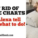 No More Chore Charts! Let Alexa Remind Your Kids.
