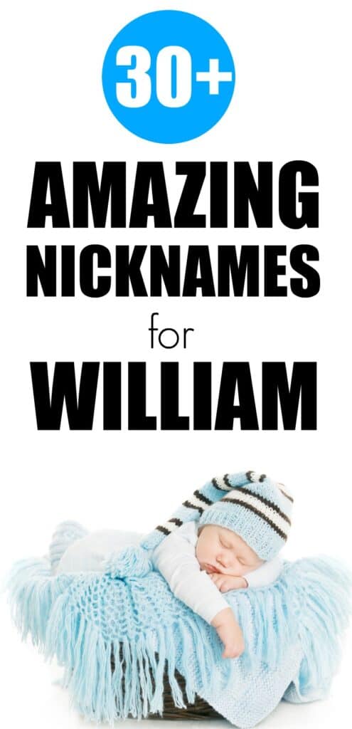 30-great-nicknames-for-william-that-will-make-you-smile