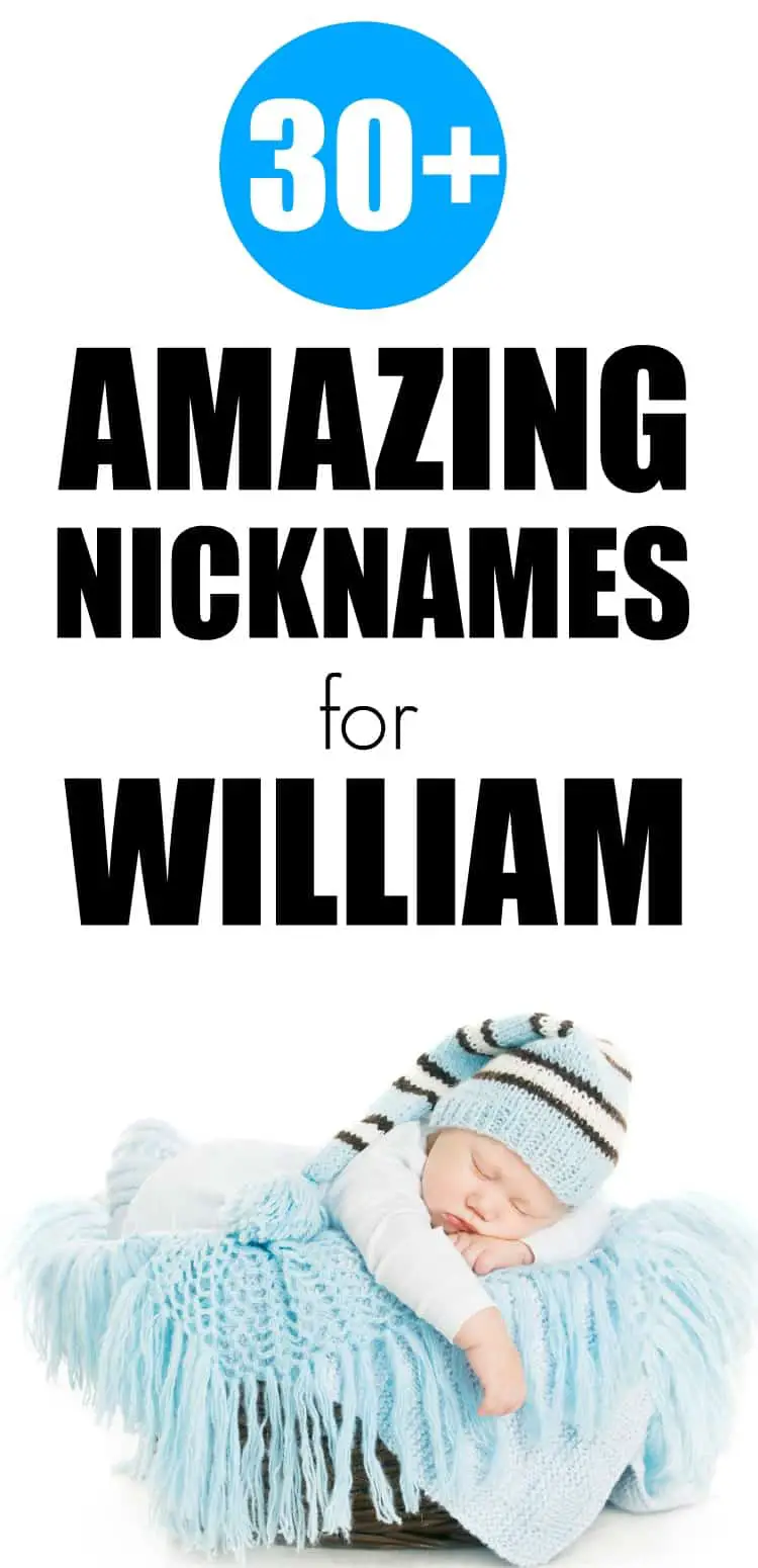 30+ amazing nicknames for william that are perfect for your little boy. 