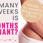How Many Weeks is 6 Months Pregnant? Plus Week to Month to Trimester Pregnancy Chart